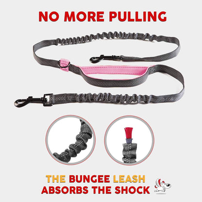 Exquisite Hands Free Dual Dog Leash for Medium Dogs. Trending Waist Leash for Walking 2 Dogs No Tangle. You Will Absolutely Love This Amazing Double Dog Gear (Dark Grey & Pink)